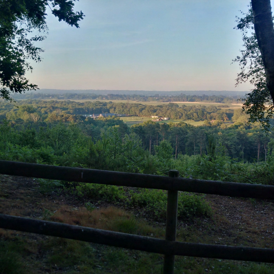 St Catherine's Hill, view toward Isle of Wight - 1st June 2017 @ 7:19pm (natural light)